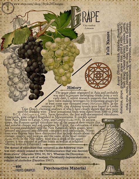 Grape Witchcraft in Folklore: Tales and Myths from Around the World